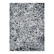 Secret Seeding, 2017