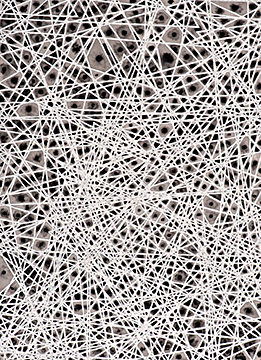 North West Passage, 2013