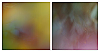 Between the Sea & Sky 20, 2021