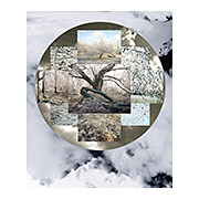 Winter Seasonal, 2009-11