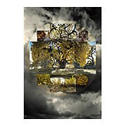 Fall Seasonal, 2010-11