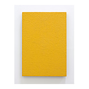 Yellow Still Life, 2017