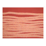 Opposing Document, 2007