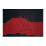 Transmissions are Growing, 2007