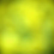 Lumina Chartreuse, 2005